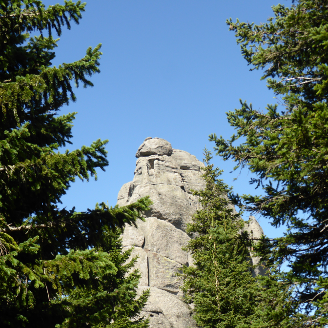 forestranger.github.io